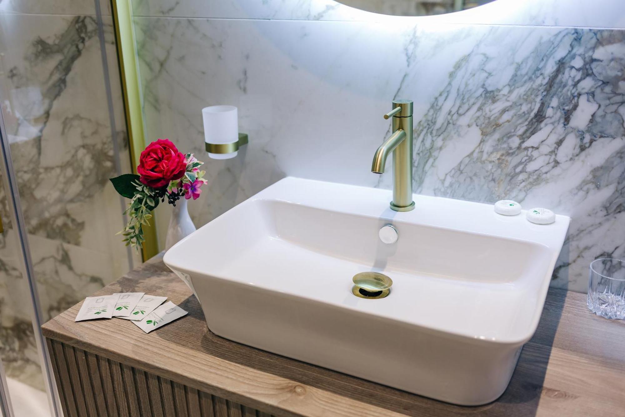 Hotel Dana 2 Satu Mare